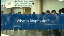 What is Biophysics?