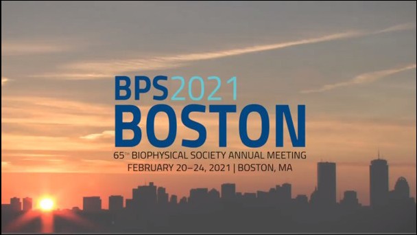 Biophysical Society Annual Meeting 2021