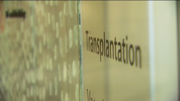 Maximizing Opportunities for Transplantation