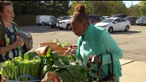 REACHing out in Pontiac: Working Together to Improve Food & Physical Activity Options