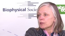 Interview with Biophysical Society President, Dorothy Beckett, PhD